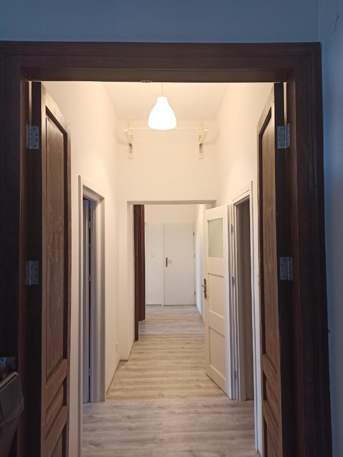 Evergreen Hostel Краков Экстерьер фото