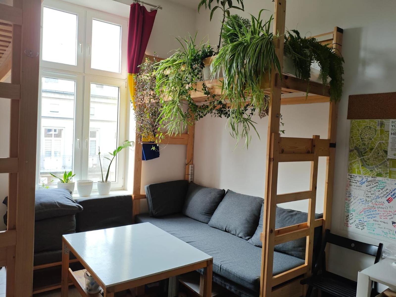 Evergreen Hostel Краков Экстерьер фото